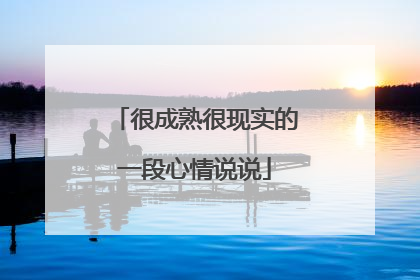 很成熟很现实的一段心情说说