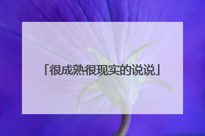 很成熟很现实的说说