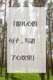 很扎心的句子,写进了心坎里