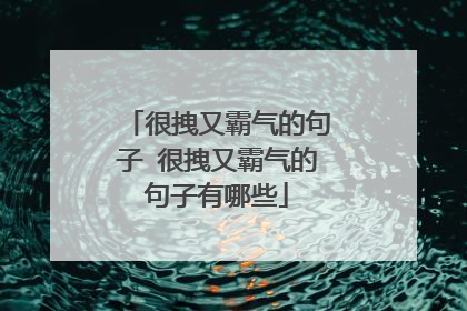 很拽又霸气的句子 很拽又霸气的句子有哪些
