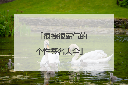 很拽很霸气的个性签名大全