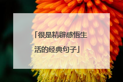 很是精辟感悟生活的经典句子