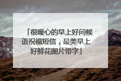 很暖心的早上好问候语祝福短信，最美早上好鲜花图片带字