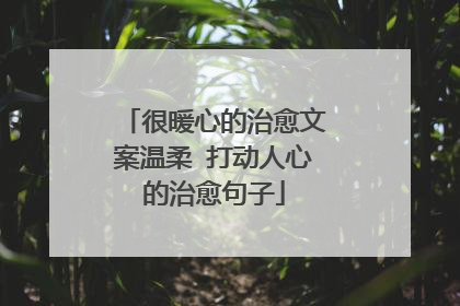 很暖心的治愈文案温柔 打动人心的治愈句子