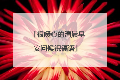 很暖心的清晨早安问候祝福语