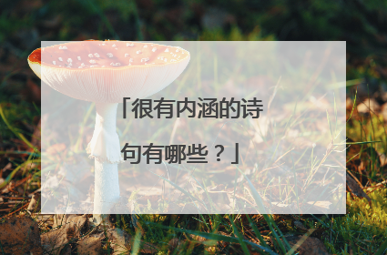 很有内涵的诗句有哪些？