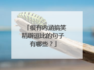 很有内涵搞笑精辟逗比的句子有哪些？