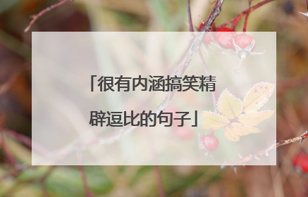 很有内涵搞笑精辟逗比的句子