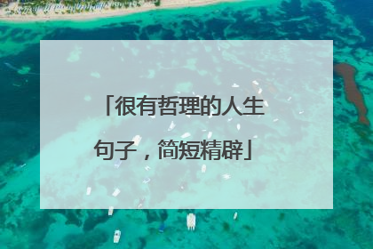 很有哲理的人生句子,简短精辟