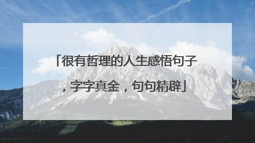 很有哲理的人生感悟句子，字字真金，句句精辟