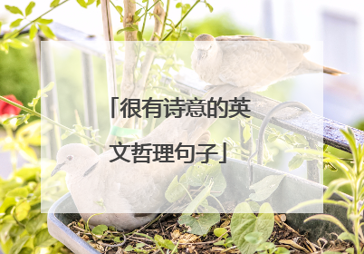 很有诗意的英文哲理句子