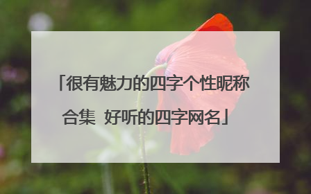 很有魅力的四字个性昵称合集 好听的四字网名