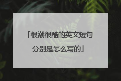 很潮很酷的英文短句 分别是怎么写的