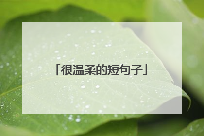 很温柔的短句子