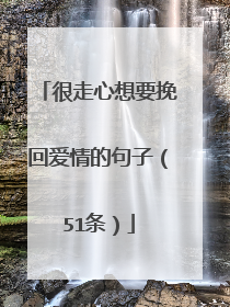 很走心想要挽回爱情的句子（51条）