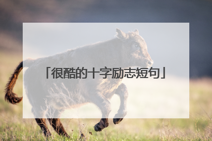 很酷的十字励志短句