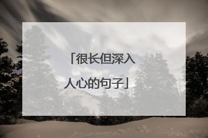 很长但深入人心的句子