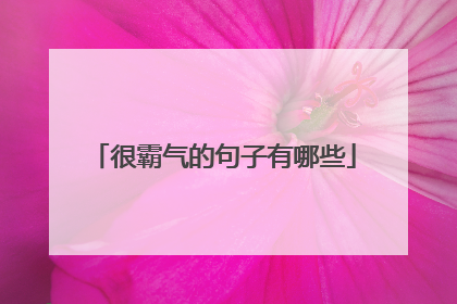 很霸气的句子有哪些