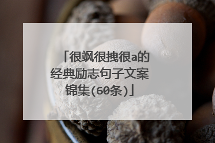 很飒很拽很a的经典励志句子文案锦集(60条)