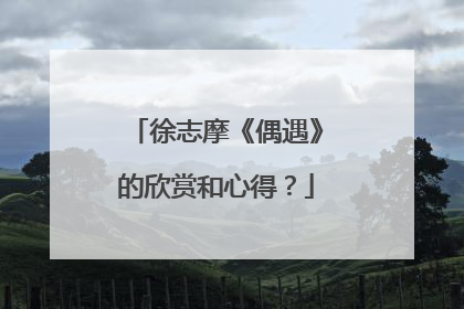 徐志摩《偶遇》的欣赏和心得?