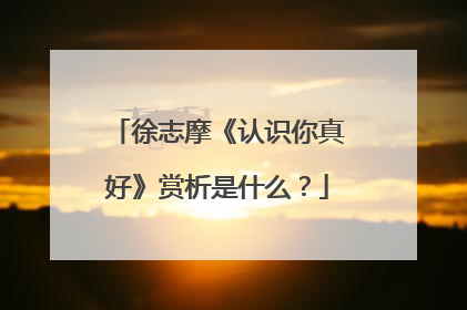 徐志摩《认识你真好》赏析是什么?