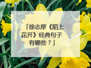 徐志摩《陌上花开》经典句子有哪些？