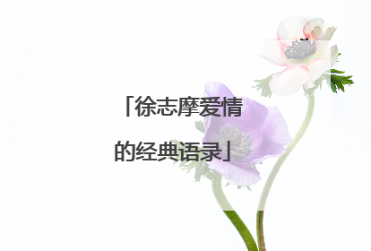 徐志摩爱情的经典语录