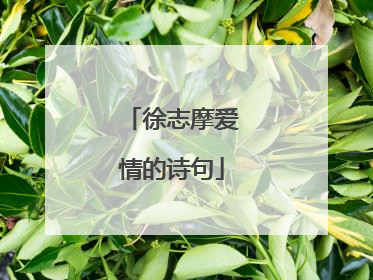 徐志摩爱情的诗句