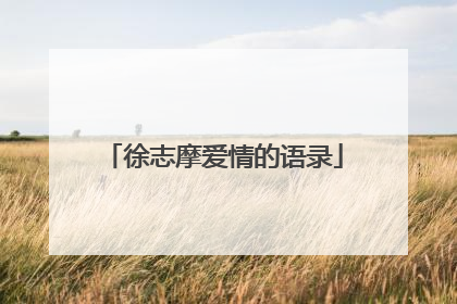 徐志摩爱情的语录