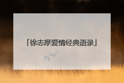 徐志摩爱情经典语录