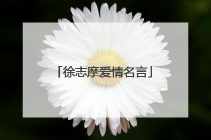 徐志摩爱情名言