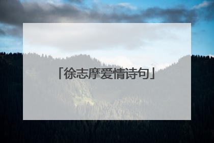 徐志摩爱情诗句