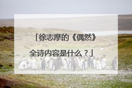 徐志摩的《偶然》全诗内容是什么?