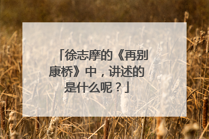 徐志摩的《再别康桥》中，讲述的是什么呢？