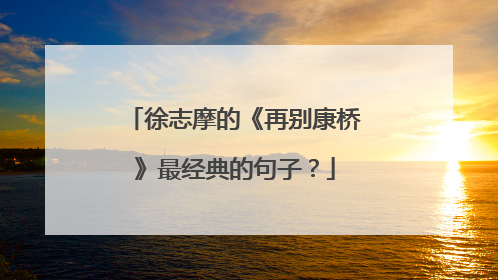 徐志摩的《再别康桥》最经典的句子?