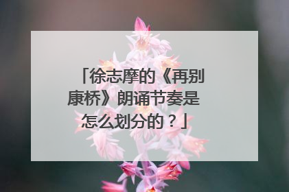 徐志摩的《再别康桥》朗诵节奏是怎么划分的?