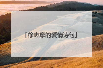 徐志摩的爱情诗句