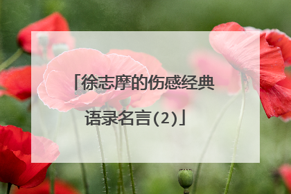 徐志摩的伤感经典语录名言(2)