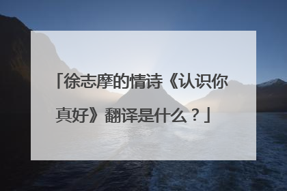 徐志摩的情诗《认识你真好》翻译是什么?