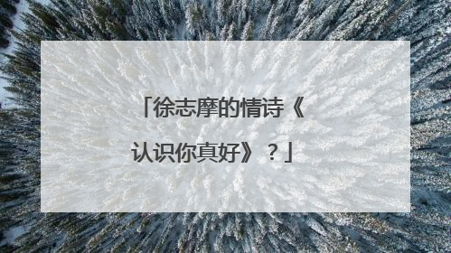 徐志摩的情诗《认识你真好》？