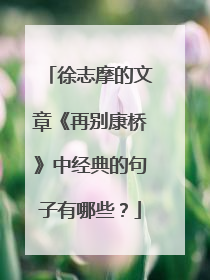 徐志摩的文章《再别康桥》中经典的句子有哪些?