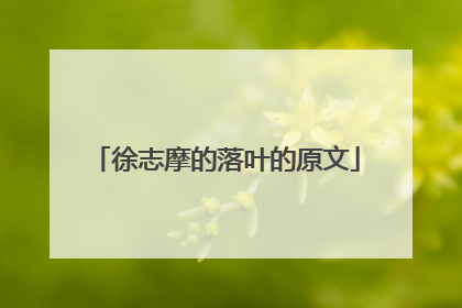 徐志摩的落叶的原文