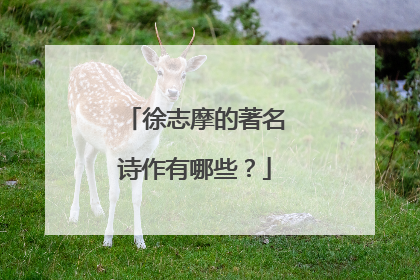 徐志摩的著名诗作有哪些？