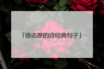 徐志摩的诗经典句子