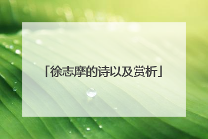 徐志摩的诗以及赏析