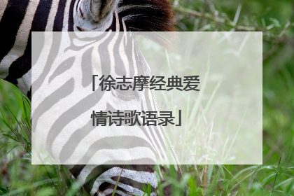 徐志摩经典爱情诗歌语录