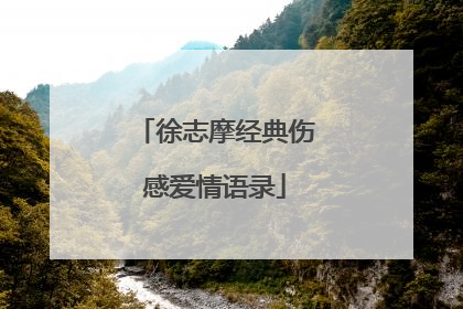 徐志摩经典伤感爱情语录