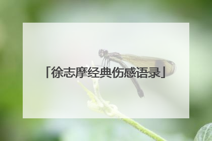 徐志摩经典伤感语录