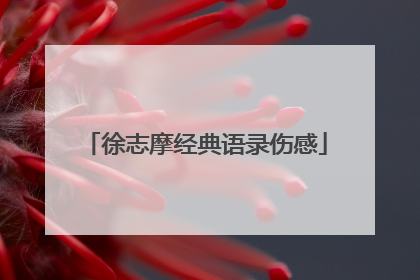 徐志摩经典语录伤感