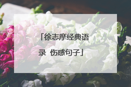 徐志摩经典语录 伤感句子